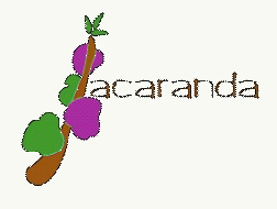 ies Jacaranda